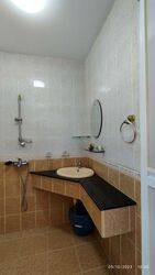 Peakview Estate (D16), Terrace #513531621